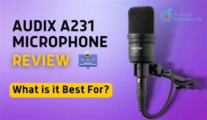 Are audix microphones good?