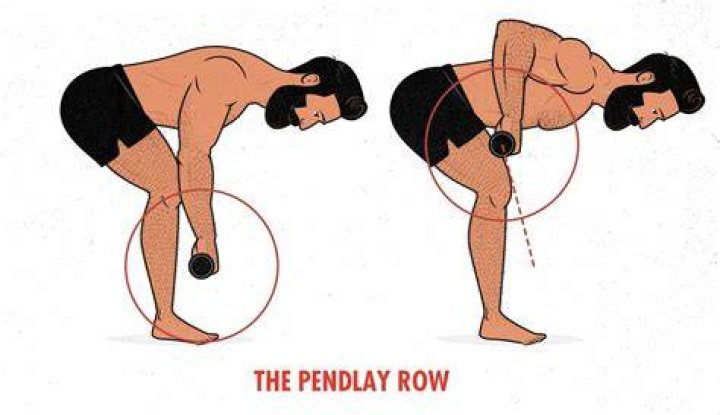 Are barbell rows good?