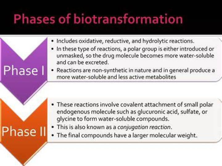 Are bioactivation and biotransformation the same?