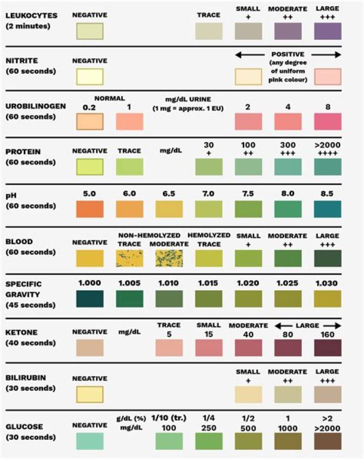 Are dipstick urine tests accurate?