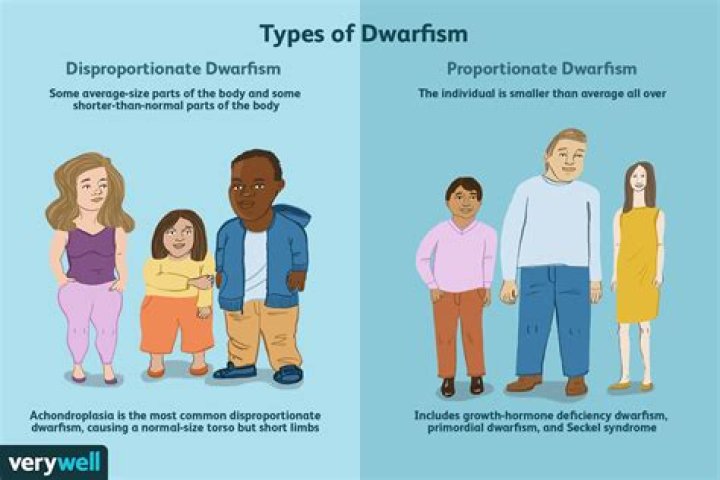 Are dwarfism dominant or recessive?