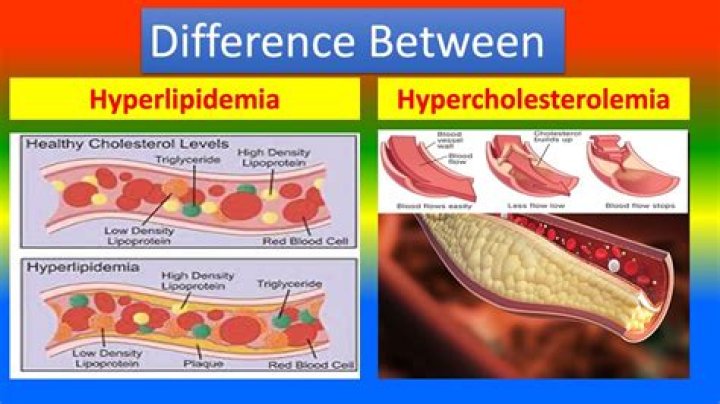 Are hypercholesterolemia and dyslipidemia the same?