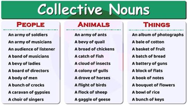 Can collective nouns be singular?