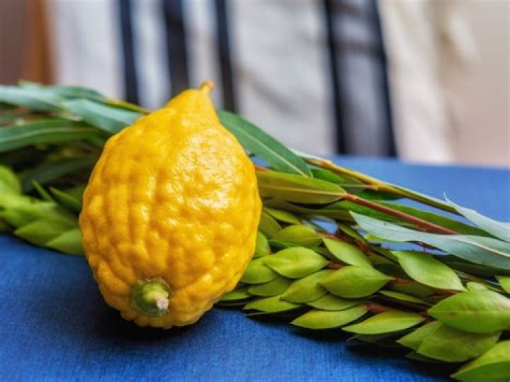 Can etrog grow in florida?