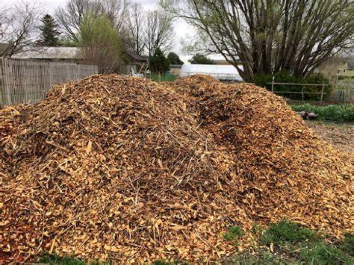 Can twigs be used as mulch?