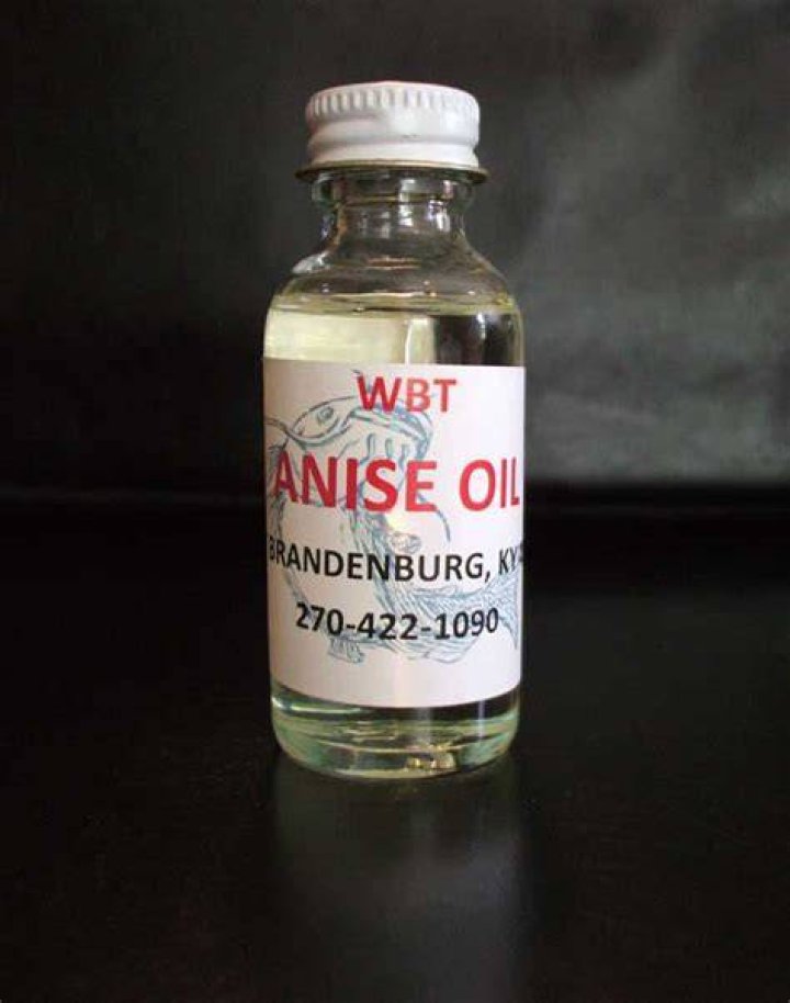 Do catfish like anise oil?
