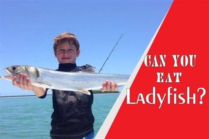 Do you eat ladyfish?