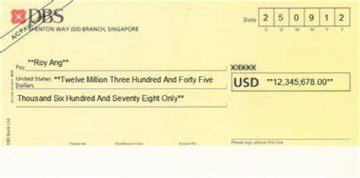Does dbs bank provide cheque book?