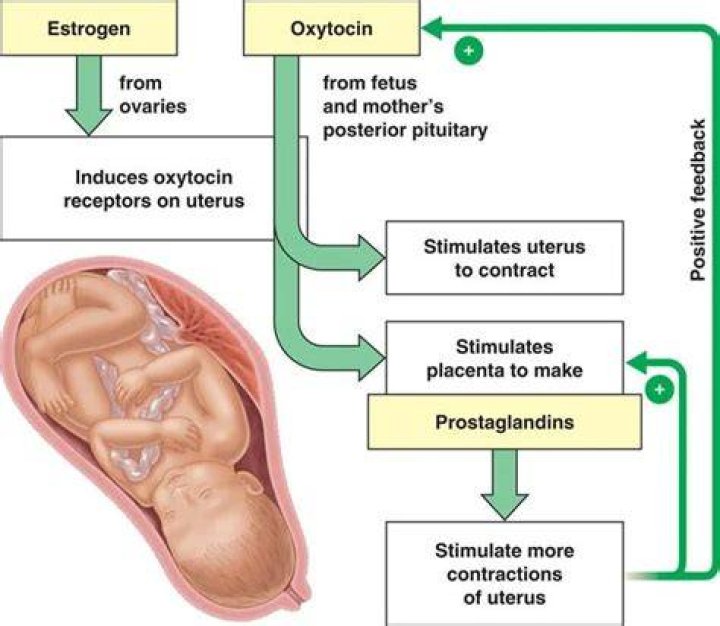 Does inducing labor hurt the baby?