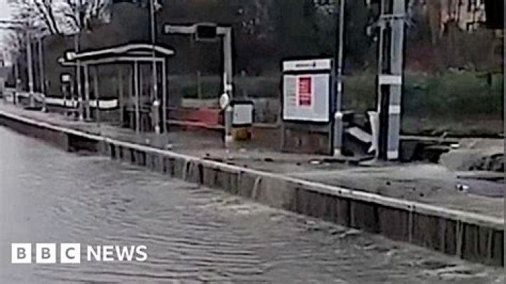 Does rye house station have oyster?