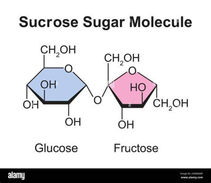 Does sucrose raise blood sugar?