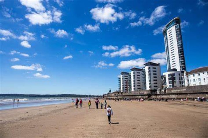 Does swansea beach allow dogs?