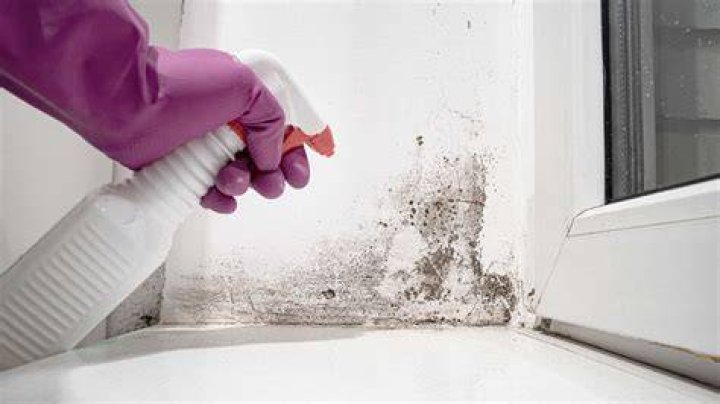 How to clean mould?