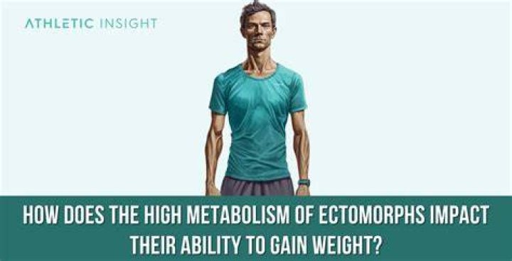 In psychology what is ectomorph?