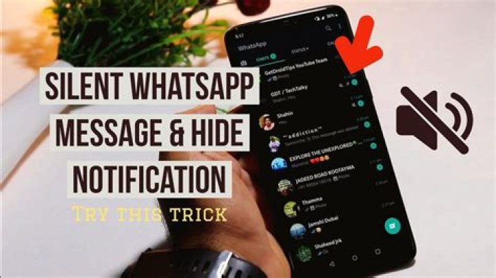 In whatsapp what does mute notifications mean?