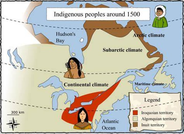 Is algonquin a tribe?