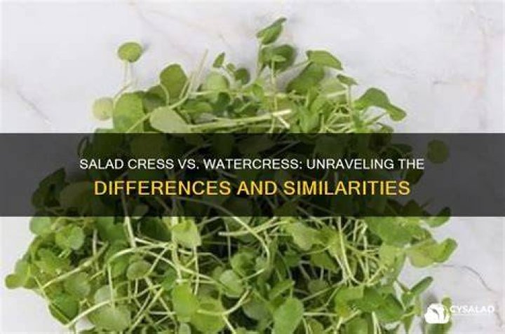 Is cress the same as watercress?