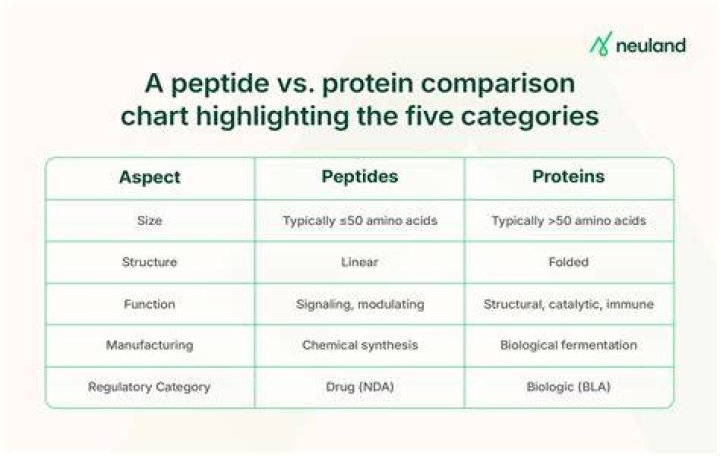 Is peptides bad for you?