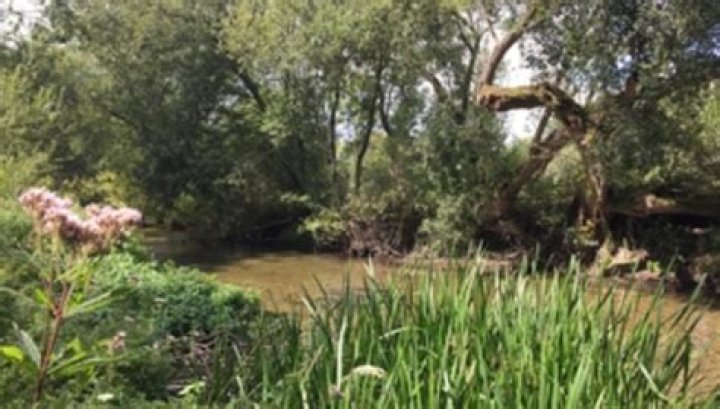 Is wylye in a conservation area?