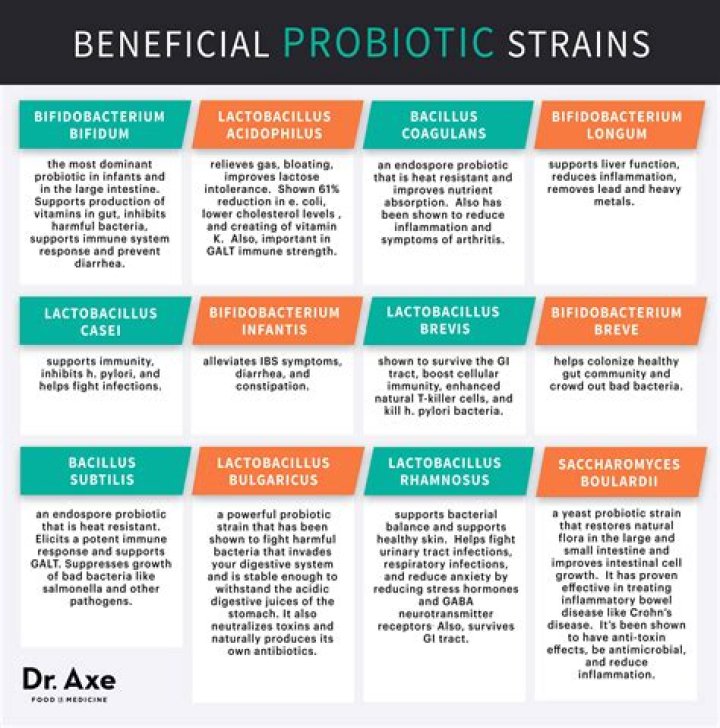 Should i take probiotics with doxycycline?