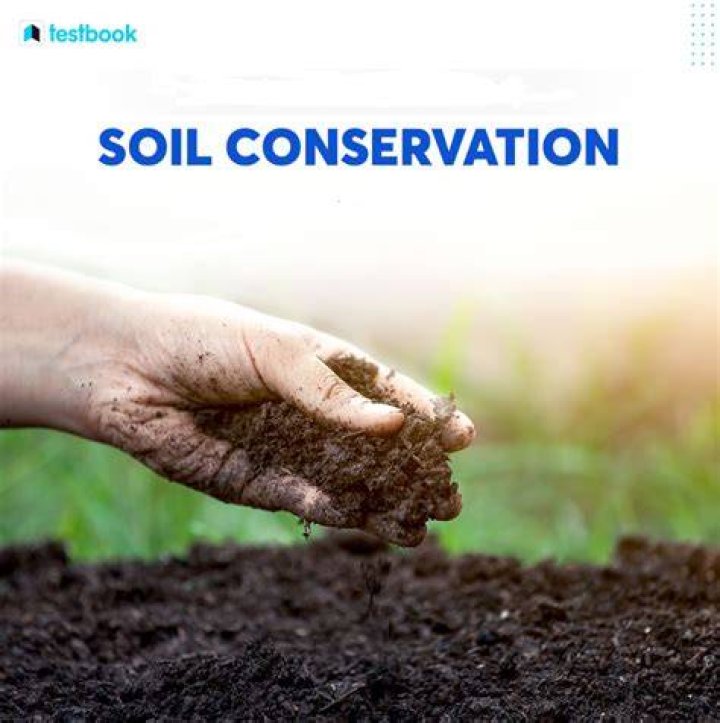 What do soil conservationists do?