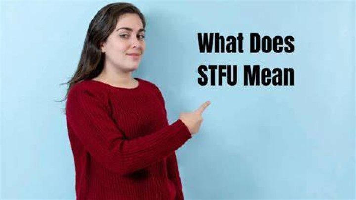 What does petrarchist mean?