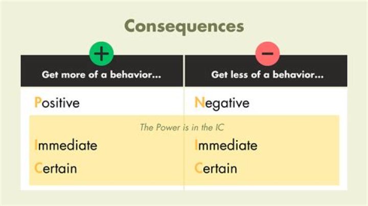 What is a consequence of incrementalism?