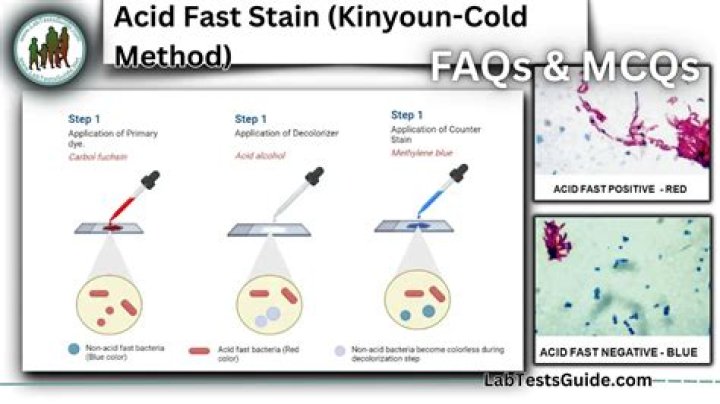 What is decolorizer in acid fast staining?
