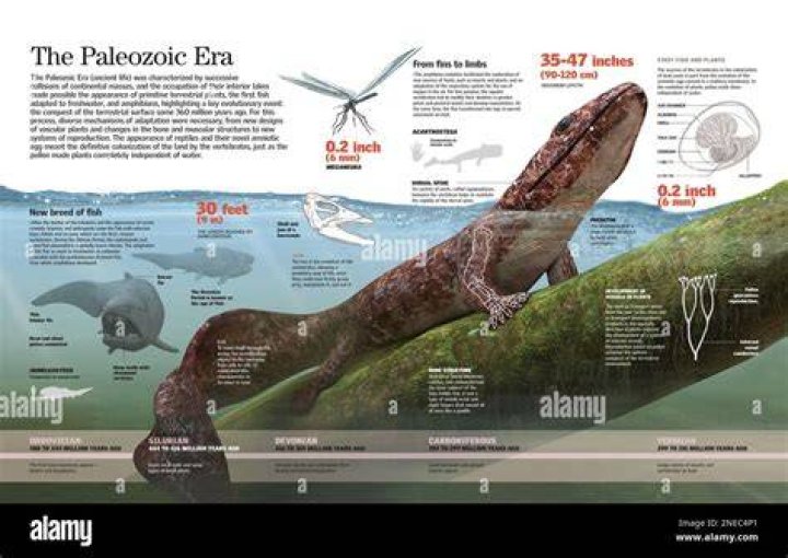 What is palaeozoic era?