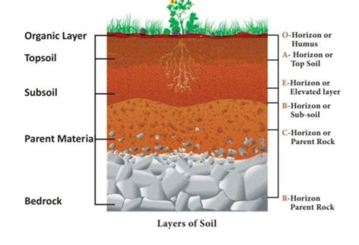 What lies beneath c horizon?