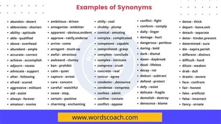 Whats a synonym for directness?