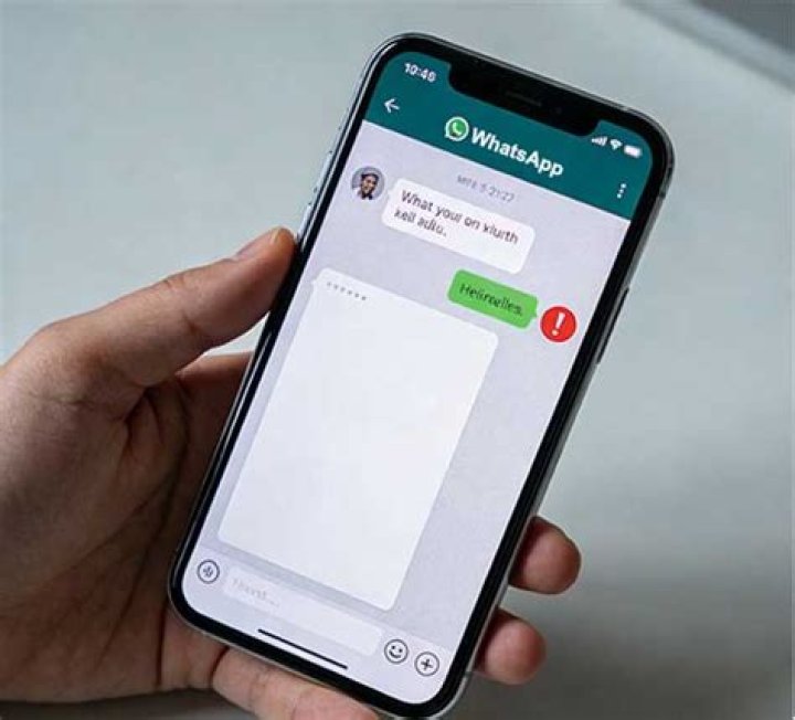 Whatsapp messages not delivering?