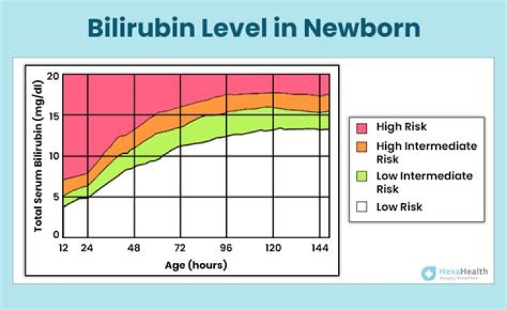 When is indirect bilirubin high?