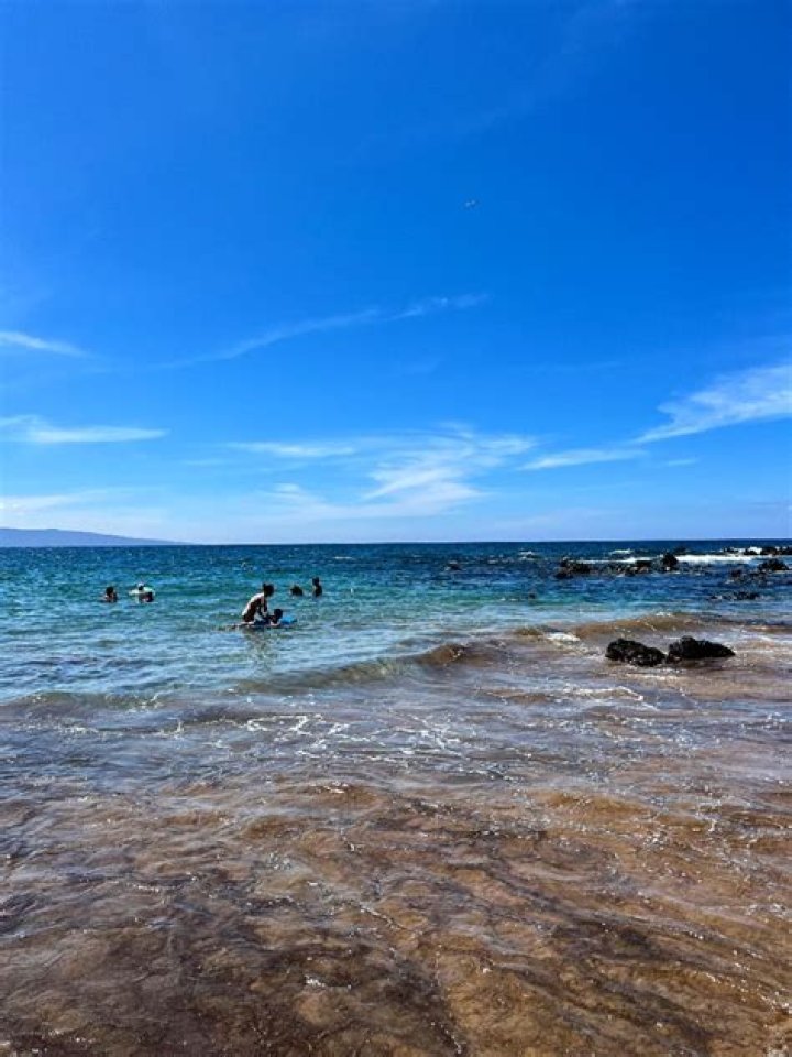 When is ulua season?