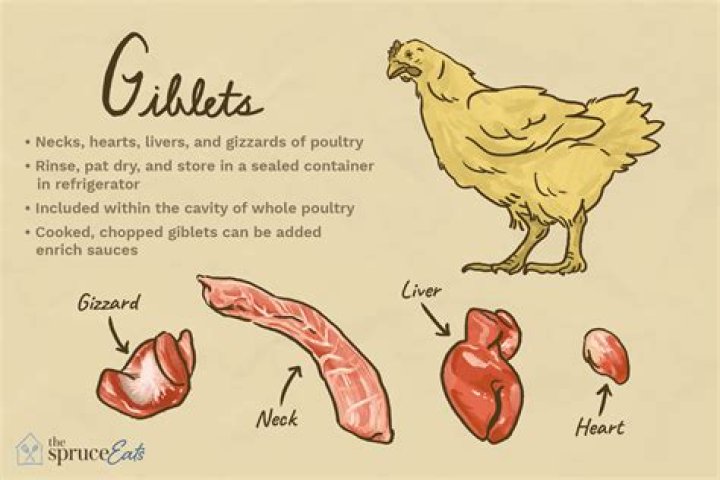 Where do chicken giblets come from?