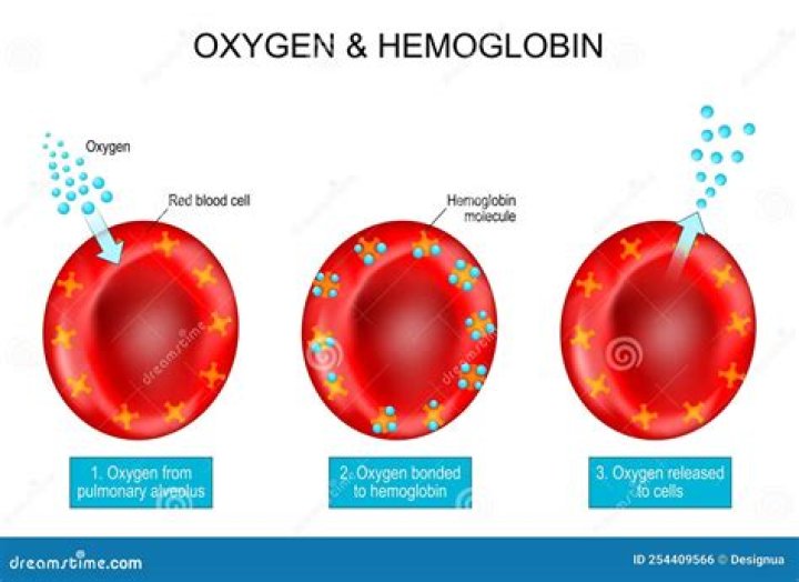 Where do you find carboxyhemoglobin?