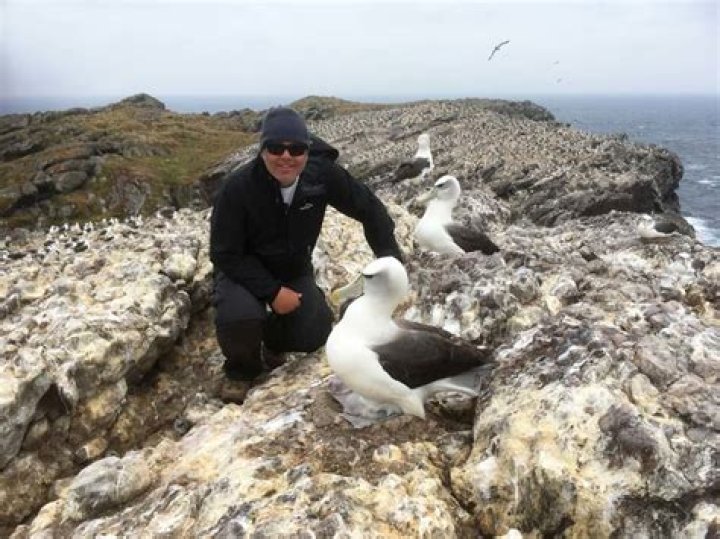 Where is albatross island?