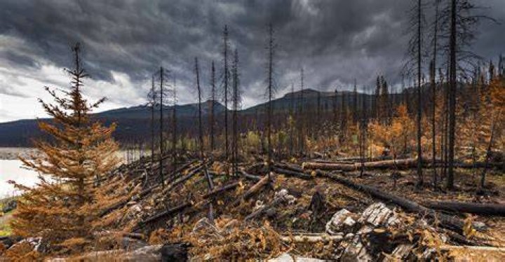 Where is beechy creek fire?