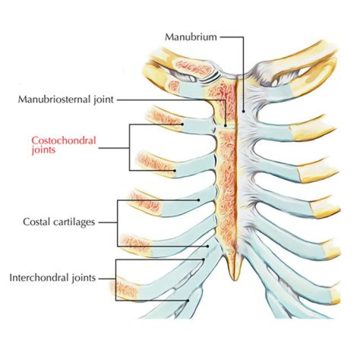 Where is the costochondral joint?