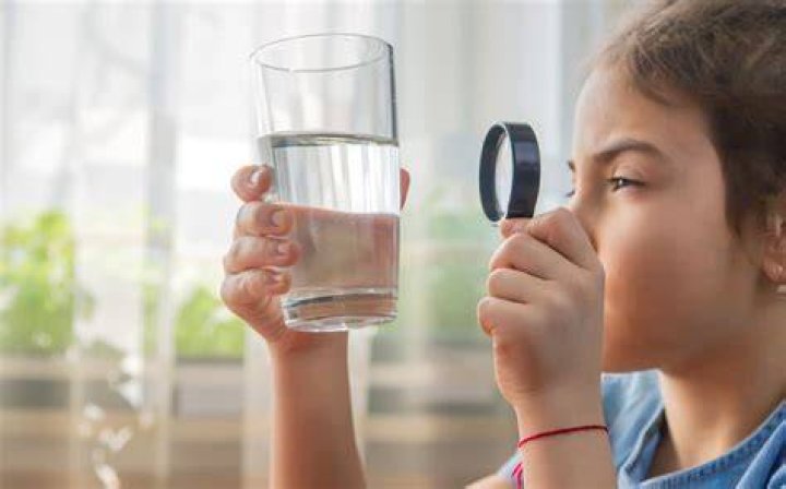 Where to get water sample tested?