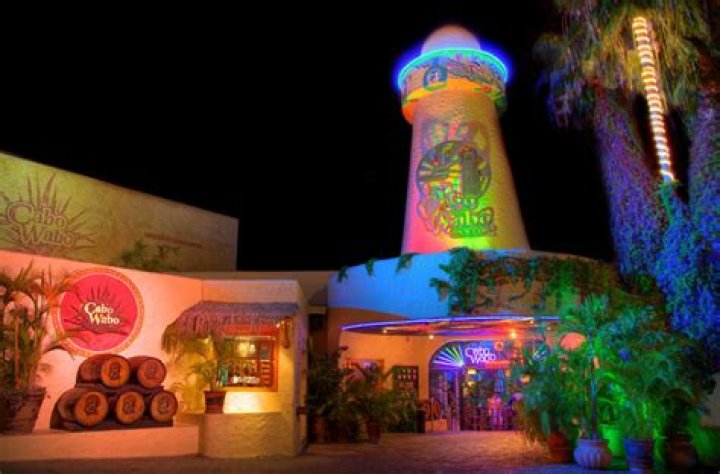 Who owns cabo wabo?