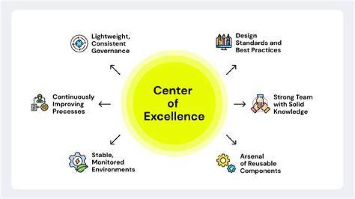Why centre of excellence?