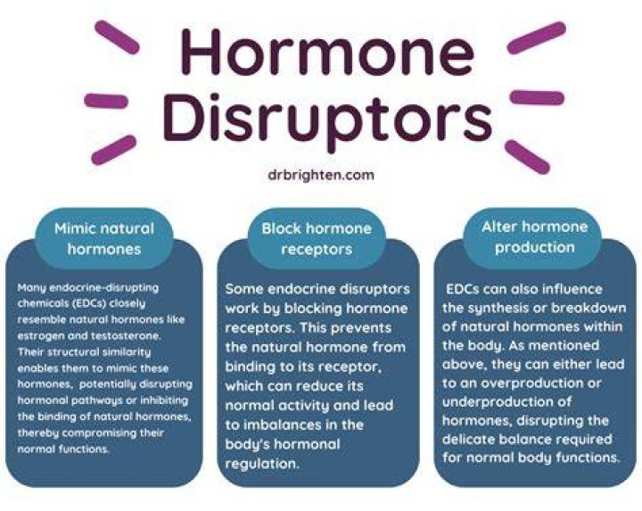 Why disruptor is fast?