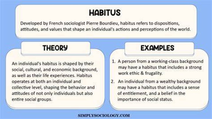 Why is habitus important?