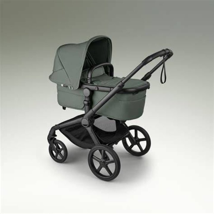 Will bugaboo donkey fabric fit cameleon?
