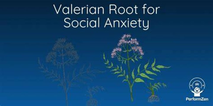 Will valerian root help anxiety?